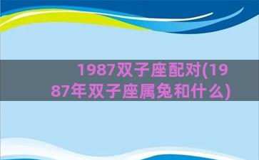 1987双子座配对(1987年双子座属兔和什么)