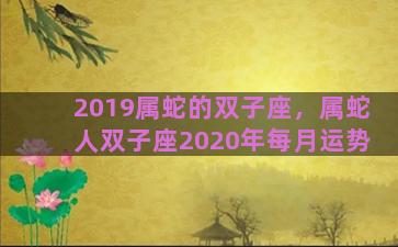 2019属蛇的双子座，属蛇人双子座2020年每月运势