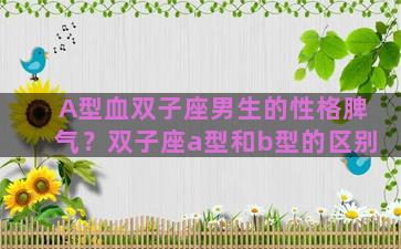 A型血双子座男生的性格脾气？双子座a型和b型的区别