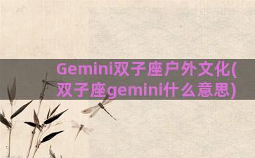 Gemini双子座户外文化(双子座gemini什么意思)