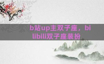 b站up主双子座，bilibili双子座装扮