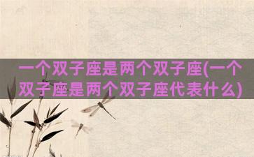 一个双子座是两个双子座(一个双子座是两个双子座代表什么)