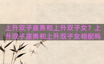 上升双子座男和上升双子女？上升双子座男和上升双子女相配吗