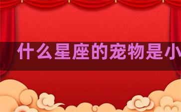 什么星座的宠物是小猫咪
