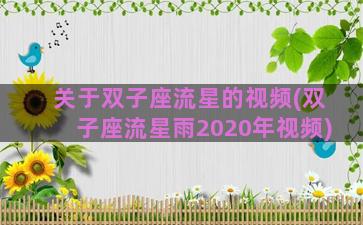 关于双子座流星的视频(双子座流星雨2020年视频)