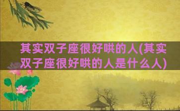 其实双子座很好哄的人(其实双子座很好哄的人是什么人)