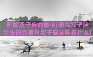 删除双子座的微信(删除双子座男生的微信对双子座意味着什么)