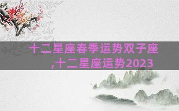 十二星座春季运势双子座,十二星座运势2023