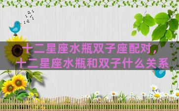 十二星座水瓶双子座配对，十二星座水瓶和双子什么关系