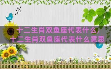 十二生肖双鱼座代表什么,十二生肖双鱼座代表什么意思