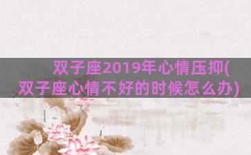 双子座2019年心情压抑(双子座心情不好的时候怎么办)