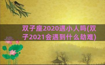 双子座2020遇小人吗(双子2021会遇到什么劫难)