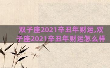 双子座2021辛丑年财运,双子座2021辛丑年财运怎么样 双子座2021辛丑年财运,双子座2021辛丑年财运怎么样