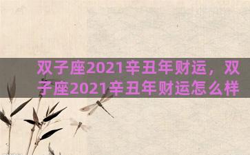 双子座2021辛丑年财运，双子座2021辛丑年财运怎么样
