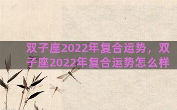 双子座2022年复合运势，双子座2022年复合运势怎么样