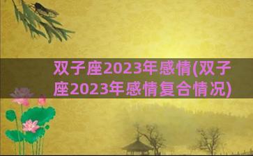 双子座2023年感情(双子座2023年感情复合情况)
