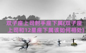 双子座上司射手座下属(双子座上司和12星座下属该如何相处)