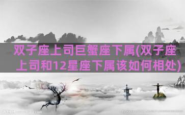 双子座上司巨蟹座下属(双子座上司和12星座下属该如何相处)