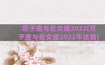 双子座与处女座2022(双子座与处女座2022年结婚)