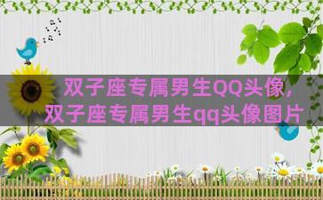 双子座专属男生QQ头像,双子座专属男生qq头像图片 双子座专属男生QQ头像,双子座专属男生qq头像图片