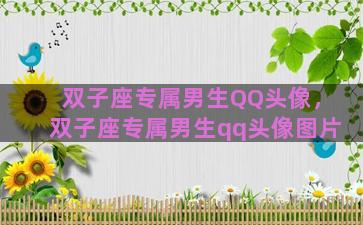 双子座专属男生QQ头像，双子座专属男生qq头像图片