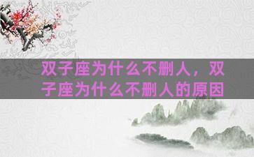 双子座为什么不删人，双子座为什么不删人的原因