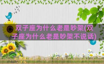 双子座为什么老是吵架(双子座为什么老是吵架不说话)