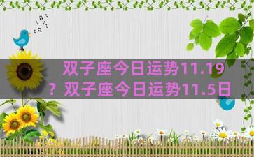 双子座今日运势11.19？双子座今日运势11.5日