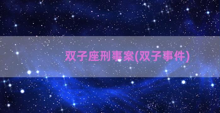 双子座刑事案(双子事件)