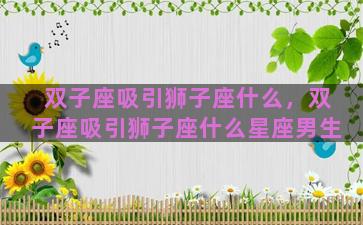 双子座吸引狮子座什么，双子座吸引狮子座什么星座男生