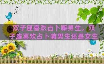 双子座喜欢占卜嘛男生，双子座喜欢占卜嘛男生还是女生