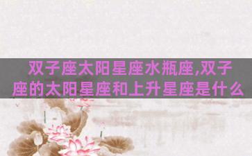 双子座太阳星座水瓶座,双子座的太阳星座和上升星座是什么
