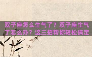 双子座怎么生气了？双子座生气了怎么办？这三招帮你轻松搞定