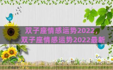 双子座情感运势2022，双子座情感运势2022最新