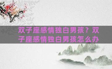双子座感情独白男孩？双子座感情独白男孩怎么办