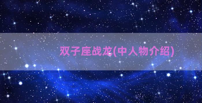 双子座战龙(中人物介绍)