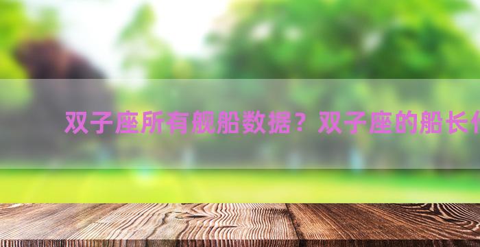 双子座所有舰船数据？双子座的船长什么样