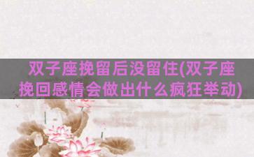双子座挽留后没留住(双子座挽回感情会做出什么疯狂举动)