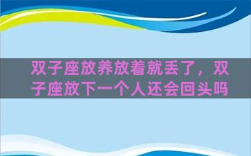 双子座放养放着就丢了，双子座放下一个人还会回头吗