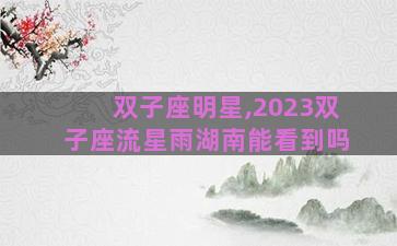双子座明星,2023双子座流星雨湖南能看到吗
