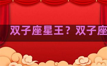 双子座星王？双子座星钻