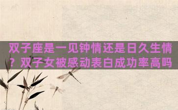 双子座是一见钟情还是日久生情？双子女被感动表白成功率高吗