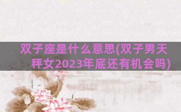 双子座是什么意思(双子男天秤女2023年底还有机会吗)