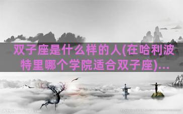 双子座是什么样的人(在哈利波特里哪个学院适合双子座)...