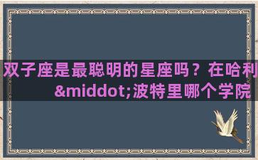 双子座是最聪明的星座吗？在哈利·波特里哪个学院适合双子座