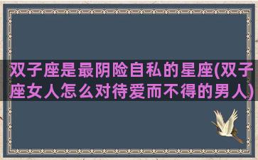 双子座是最阴险自私的星座(双子座女人怎么对待爱而不得的男人)