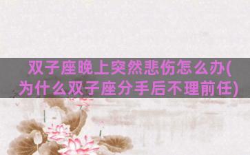 双子座晚上突然悲伤怎么办(为什么双子座分手后不理前任)