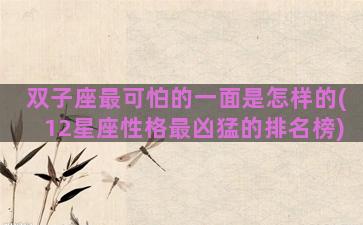 双子座最可怕的一面是怎样的(12星座性格最凶猛的排名榜)