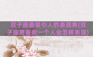 双子座最吸引人的表现男(双子座男喜欢一个人会怎样表现)