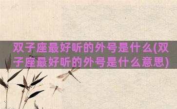 双子座最好听的外号是什么(双子座最好听的外号是什么意思)